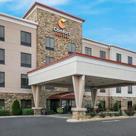 Comfort Suites Commerce Extérieur photo